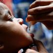 Rougeole, DTP... La vaccination des enfants dans le monde stagne, alerte l'ONU