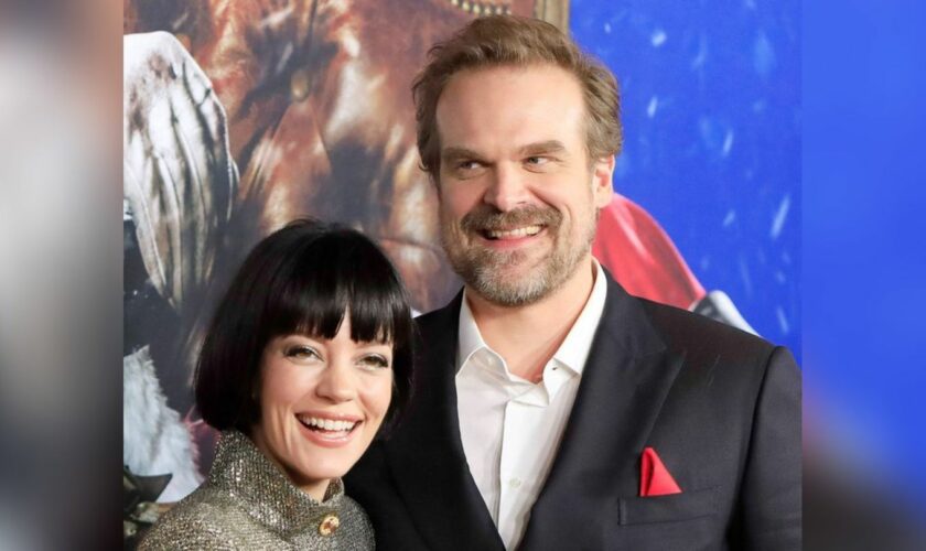 Lily Allen und David Harbour sind seit 2019 ein Paar und seit 2020 miteinander verheiratet.