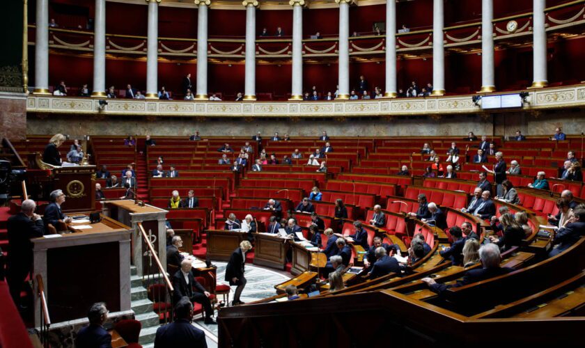 Président de l'Assemblée nationale : une candidate favorite et des outsiders