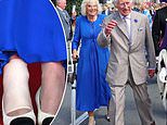 Queen Camilla uses her trusted umbrella to lean on as she arrives on Guernsey with a bandaged ankle - as the couple's royal tour of the Channel Islands continues