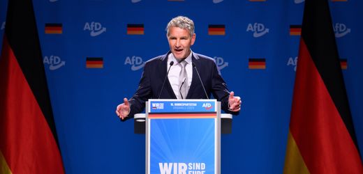 AfD will Sachsen und Thüringen zu flüchtlingsfeindlichen Bundesländern umformen