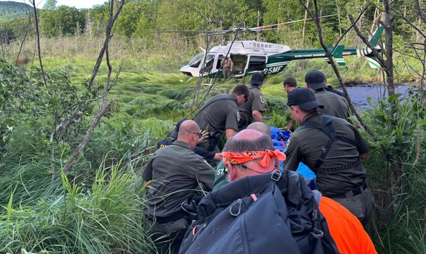 Missing 75-year-old man found in Maine bog after 4 days