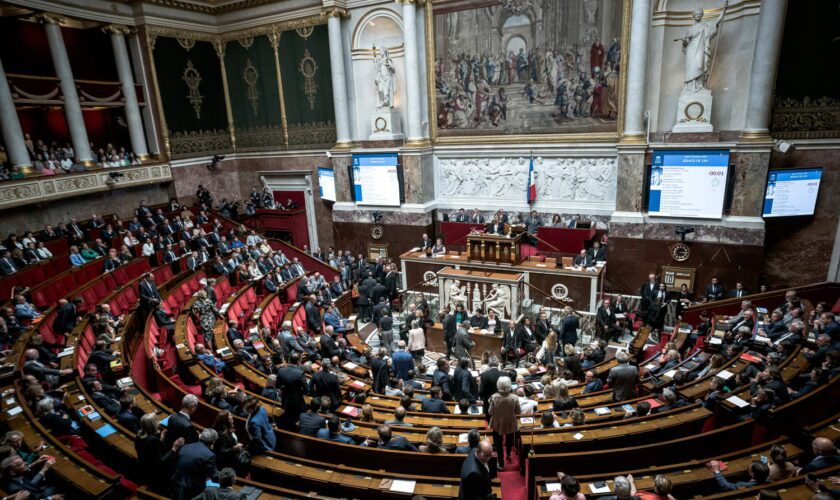 Présidence de l'Assemblée nationale : un vote crucial et stratégique pour Macron