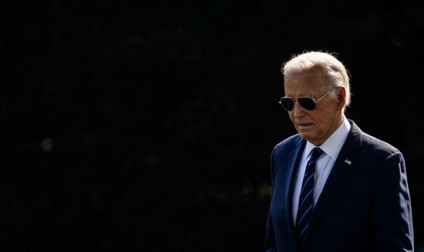 Parteispitze der Demokraten will Biden-Nominierung vorziehen, doch Abgeordnete rebellieren