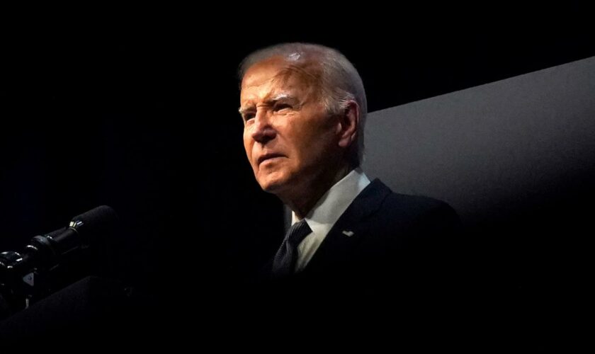 US-Wahlkampf: Demokraten protestieren gegen vorzeitige Nominierung von Joe Biden