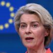 EU-Kommissionspräsidentin : BSW fordert Verschiebung von Abstimmung zu von der Leyen