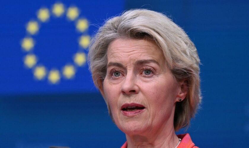 EU-Kommissionspräsidentin : BSW fordert Verschiebung von Abstimmung zu von der Leyen