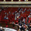 Assemblée nationale : majorité ou opposition, cette autre décision cruciale que prennent les députés