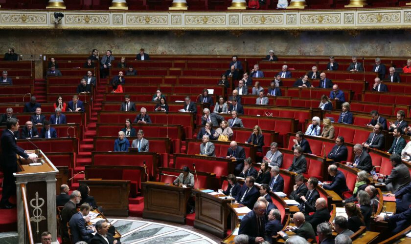 Assemblée nationale : majorité ou opposition, cette autre décision cruciale que prennent les députés