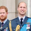 Prince Harry and William would 'fight dirty' and hit each other 'where it hurts'