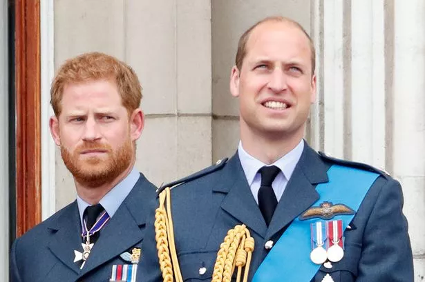 Prince Harry and William would 'fight dirty' and hit each other 'where it hurts'