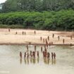 Group says photos of reclusive tribe on Peru beach show logging concessions are 'dangerously close'