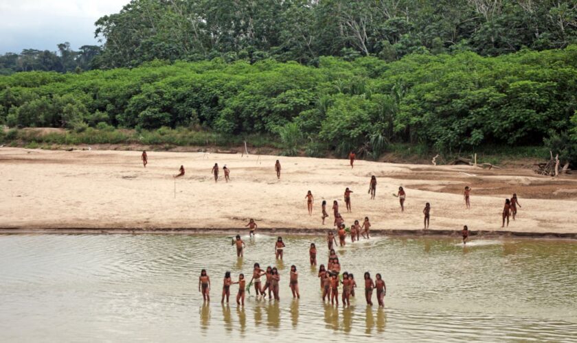 Group says photos of reclusive tribe on Peru beach show logging concessions are 'dangerously close'