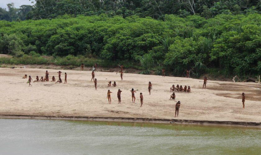 Au Pérou, les images d’une tribu indigène quittant la forêt tropicale inquiètent