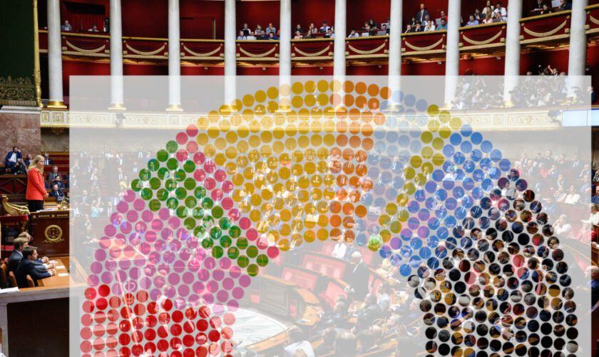 Voici les 11 groupes politiques (un record) de la nouvelle Assemblée nationale