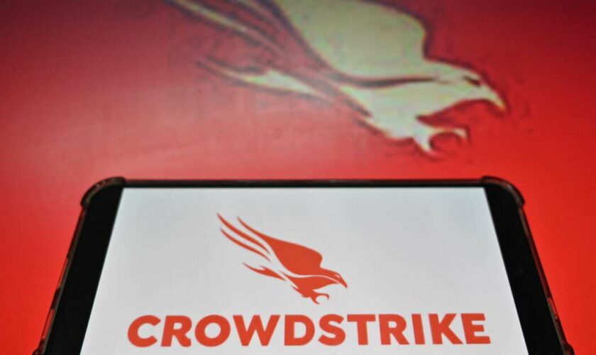 Derrière la panne mondiale, un champion de la cybersécurité nommé CrowdStrike