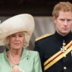 Prince Harry's cruel two-word insult against Camilla went too far for Charles