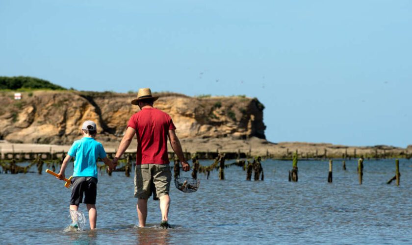 À la découverte de la pêche à pied, “une tradition ancestrale”, sur une plage bretonne