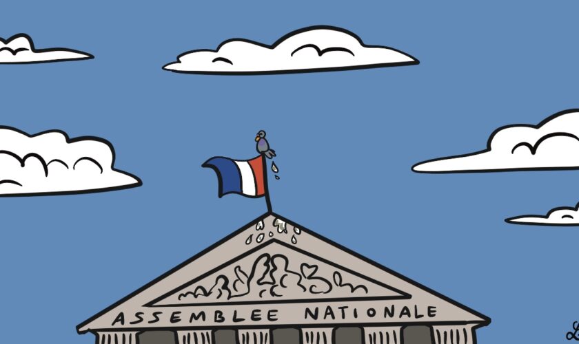 Vivement lundi: l'Assemblée nationale en 2024