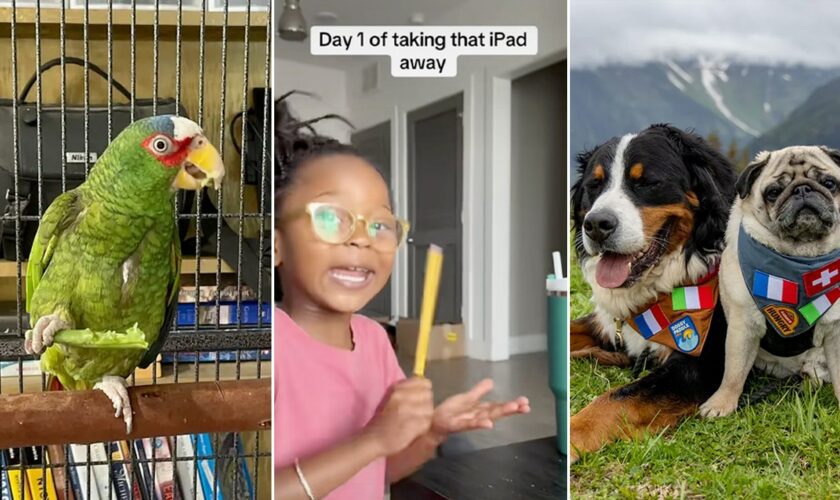 Viral headlines: Trending family stories, pet tales, food finds and more you won't want to miss