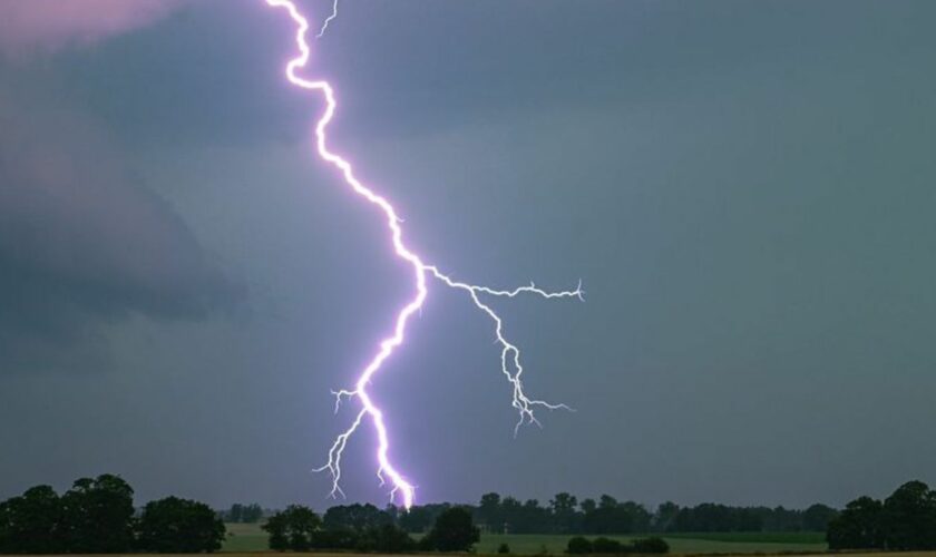 Nach heißen Sommertagen drohen in Teilen Deutschlands wieder Gewitter und Starkregen. (Symbolbild) Foto: Patrick Pleul/dpa