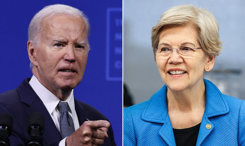 Elizabeth Warren hedges on support for Biden staying in the race: He has a 'really big decision to make'