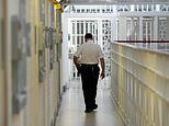 Gangster caged in UK jails brags prisoners pay female prisoner officers up to £2000 to have sex with them in their cells