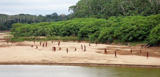 Mashco Piro: Unkontaktiertes Volk nähert sich Abholzungsgebiet in Peru