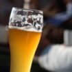 Alkoholfreies Bier: Rückruf wegen Etikettierungsfehler - was Kunden wissen müssen