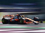 F1 - Hungary Grand Prix race LIVE: Start time, leaderboard and lap-by-lap updates as Lando Norris regains the lead with McLaren team-mate Oscar Piastri second on fresher tyres