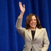 As Obama stops short of backing Kamala Harris, who's throwing their weight behind vice president?