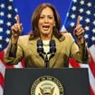 US-Vizepräsidentin: Kamala Harris will "die Nominierung verdienen und gewinnen"