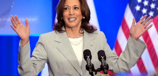 Kamala Harris: Wofür steht die Vizepräsidentin?