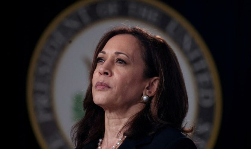 Kamala Harris im Wortlaut: "Gemeinsam werden wir kämpfen. Und gemeinsam werden wir gewinnen."