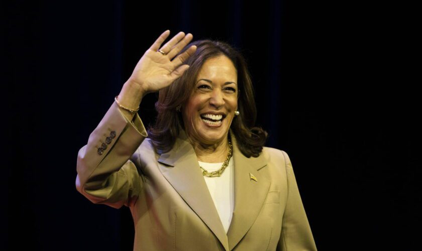 Kamala Harris : pourquoi elle n'est pas certaine de remplacer Joe Biden