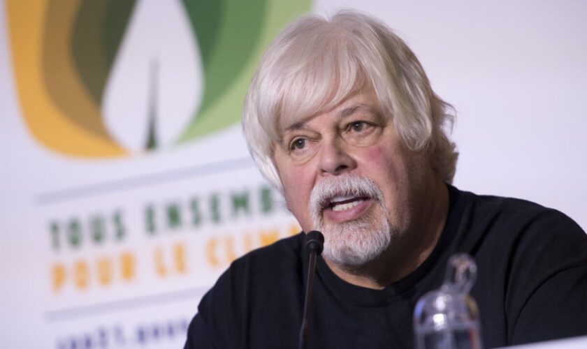 Chasse à la baleine : Paul Watson, militant écologiste recherché par le Japon, arrêté au Groenland