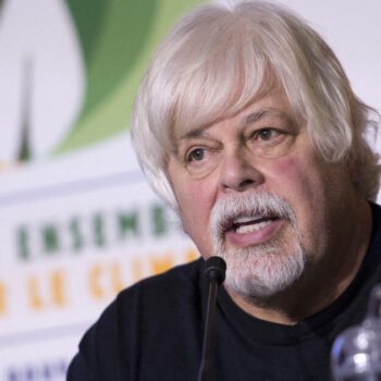 Paul Watson, fondateur de Sea Shepherd, placé en détention au Groenland en vue d’une extradition vers le Japon