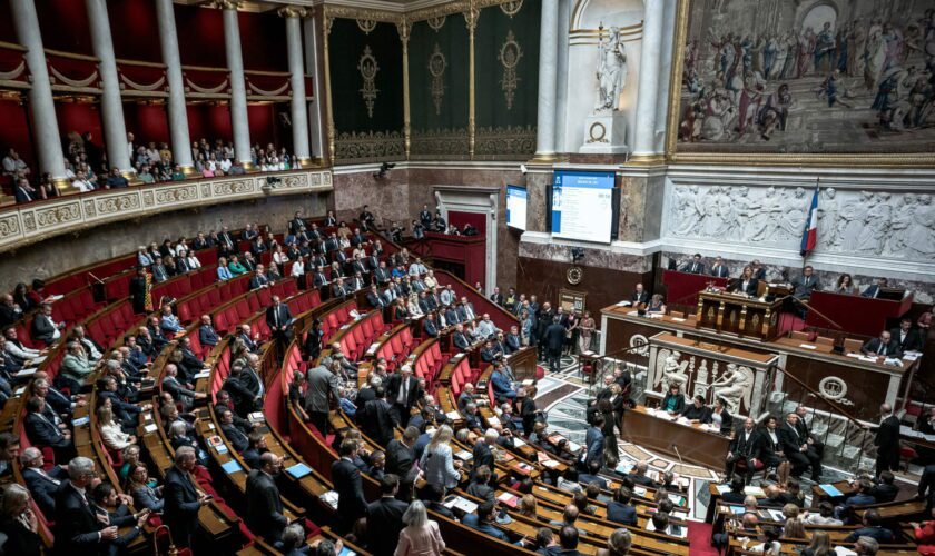 Assemblée nationale : députés par parti, postes clés... La composition complète