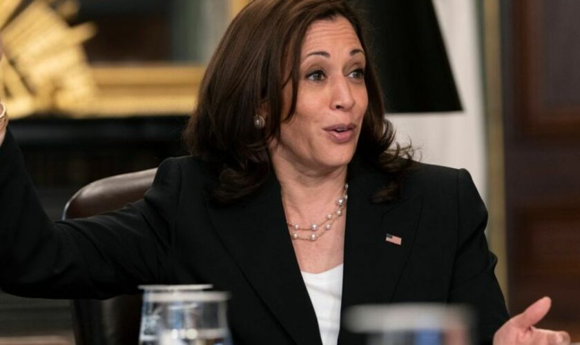 US-Vizepräsidentin Kamala Harris will bei der Wahl im November gegen den republikanischen Frontmann Donald Trump antreten. (Arch