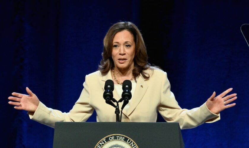 Après le retrait de Biden, quel colistier pour Kamala Harris ? Les noms qui circulent