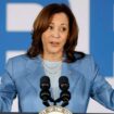 10 Democrats Vice President Kamala Harris could name as her 2024 running mate