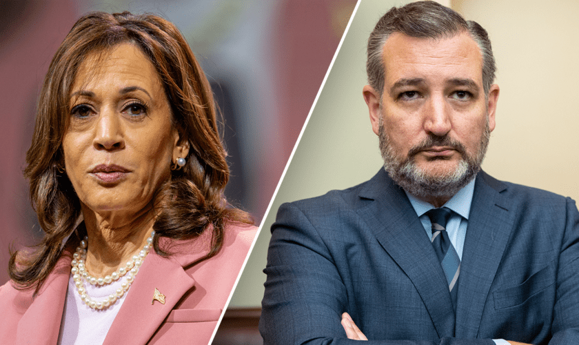 Cruz warns against underestimating Harris: Dems pitching her as 'Mother Teresa, Oprah and Gandhi' combo