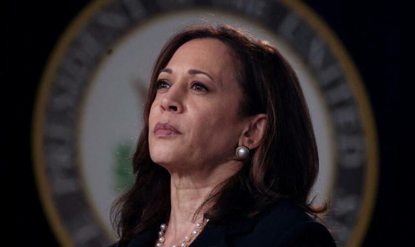 Retrait de Joe Biden : attention à ces fake news autour de Kamala Harris