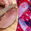 Listeria infection linked to deli meats kills 2, infects 28 across US, CDC warns