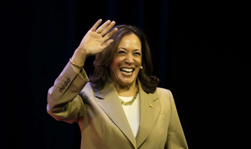 Présidentielle américaine : comment le cocotier est devenu le symbole viral du soutien à Kamala Harris