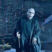 Costume designer admits Voldemort's costume was never finished and more secrets about the Dark Lord