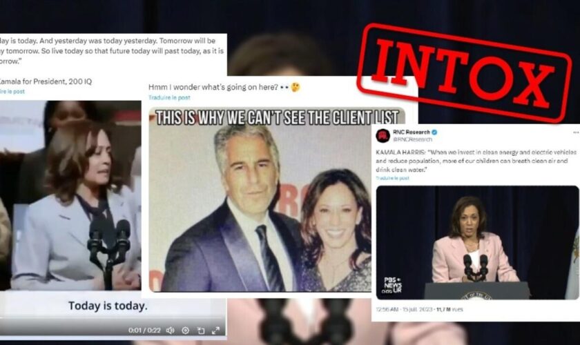 Photo avec Epstein, propos incohérents, lapsus… Trois intox sur Kamala Harris