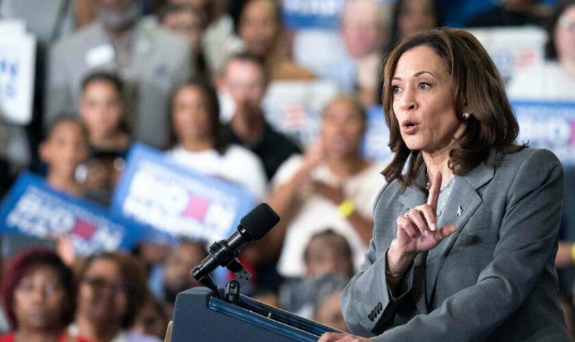 Les démocrates se rallient-ils trop vite à Kamala Harris ?