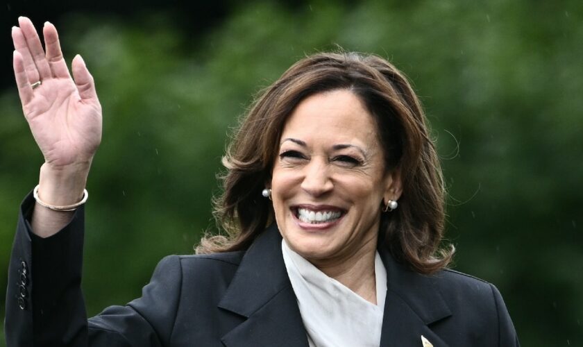 Donald Trump contre Kamala Harris : à quoi va ressembler ce duel que personne n'attendait ?