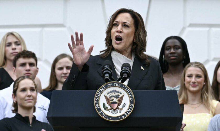 « Menteuse », « bête »… Donald Trump et ses alliés attaquent déjà Kamala Harris